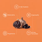 Fermented Black Garlic Extract