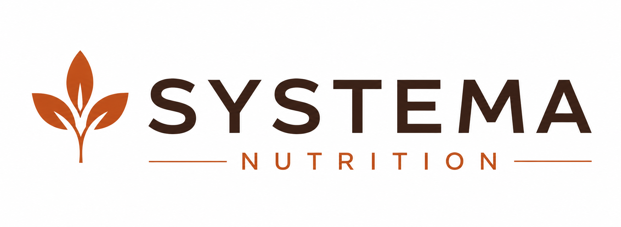 SYSTEMA LTD
